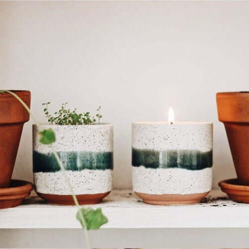 Plant some seeds to celebrate the Spring Equinox - West London Living