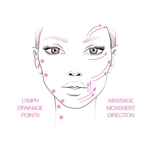 Understanding the Lymphatic System