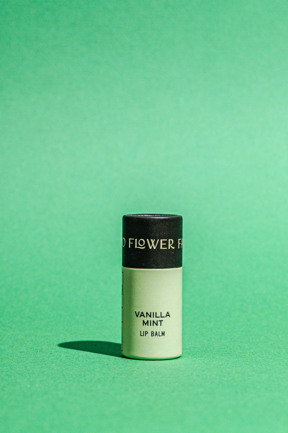 Minty Lip Balm Gift Set 🌿 3 Lip Balms