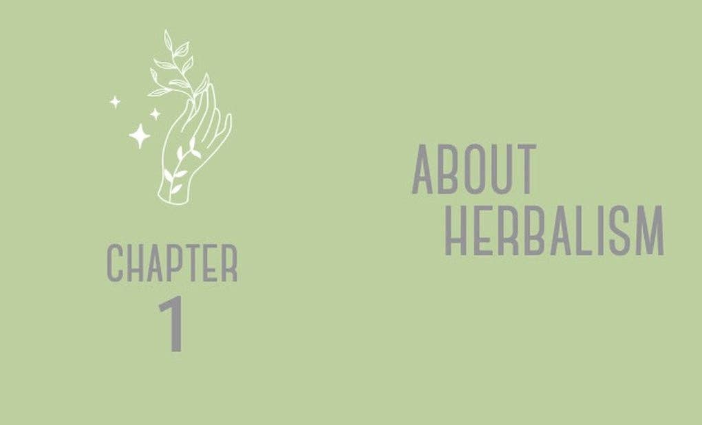 The Little Book of Herbalism and Natural Healing by Marlene Houghton (Hardback)