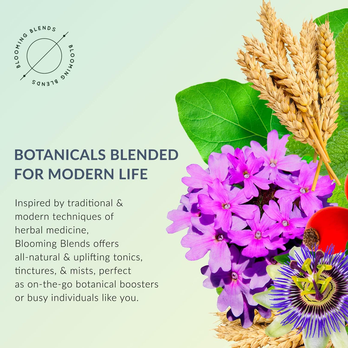 Happy Herbal Tincture 30ml - Blooming Blends