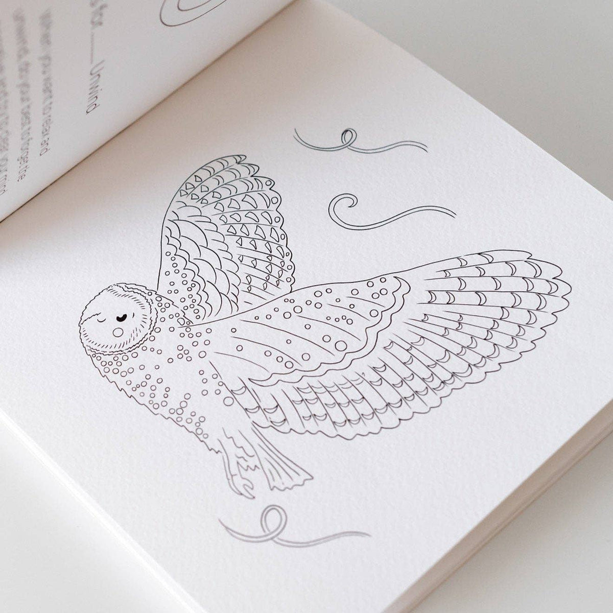 Coloring book page with a detailed owl design on a light background