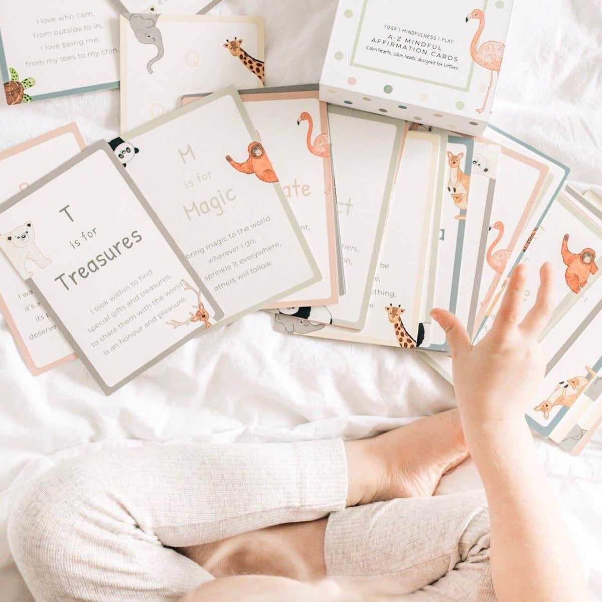 Person holding educational cards with animal illustrations and text on a white surface