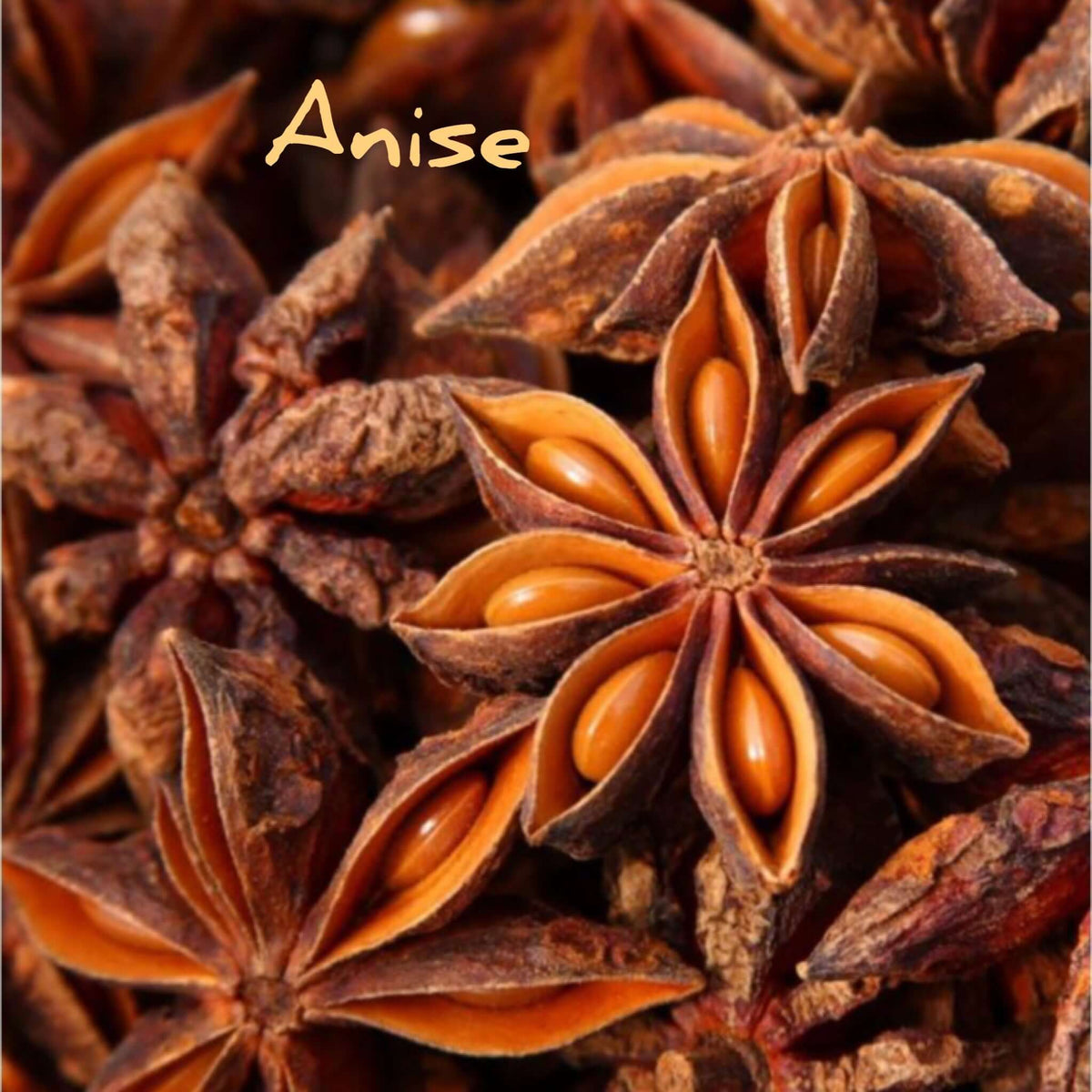 Anise & Clove Tooth Cleanse 1oz - Fat & The Moon
