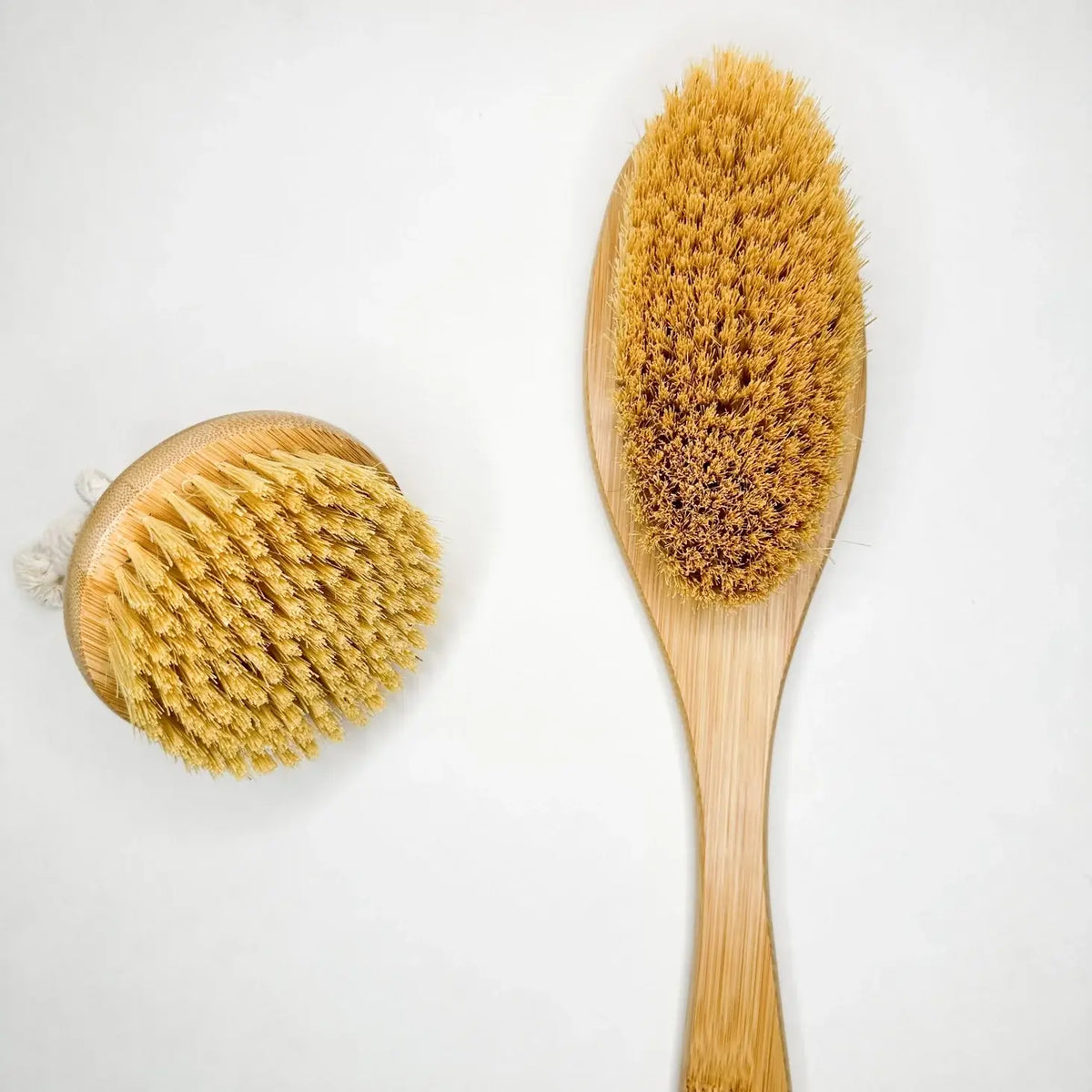 Two natural bristle brushes on a white background