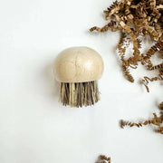 Beige scrub brush with bristles on a white background