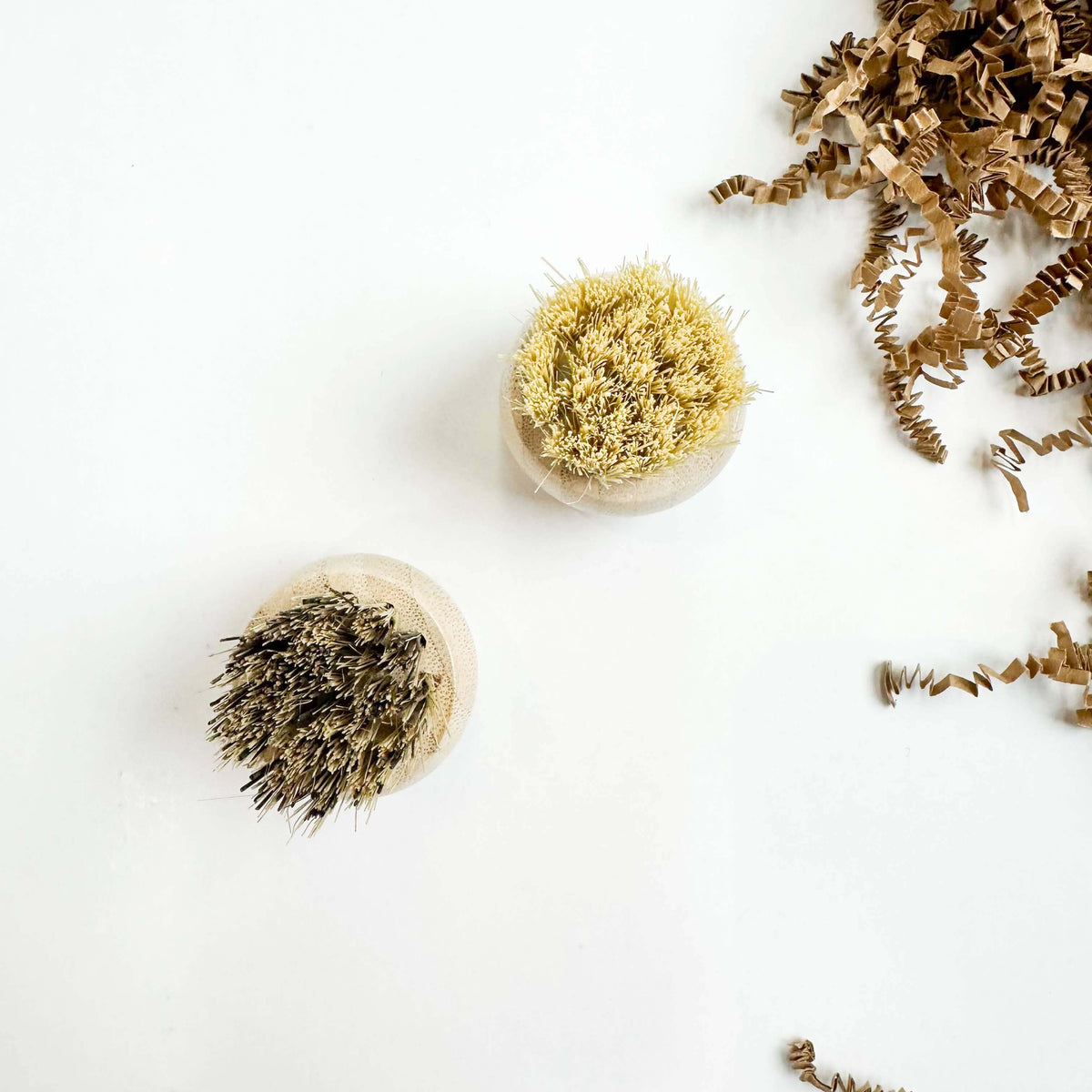 Two natural bristle brushes on a white background with loose bristles scattered around.