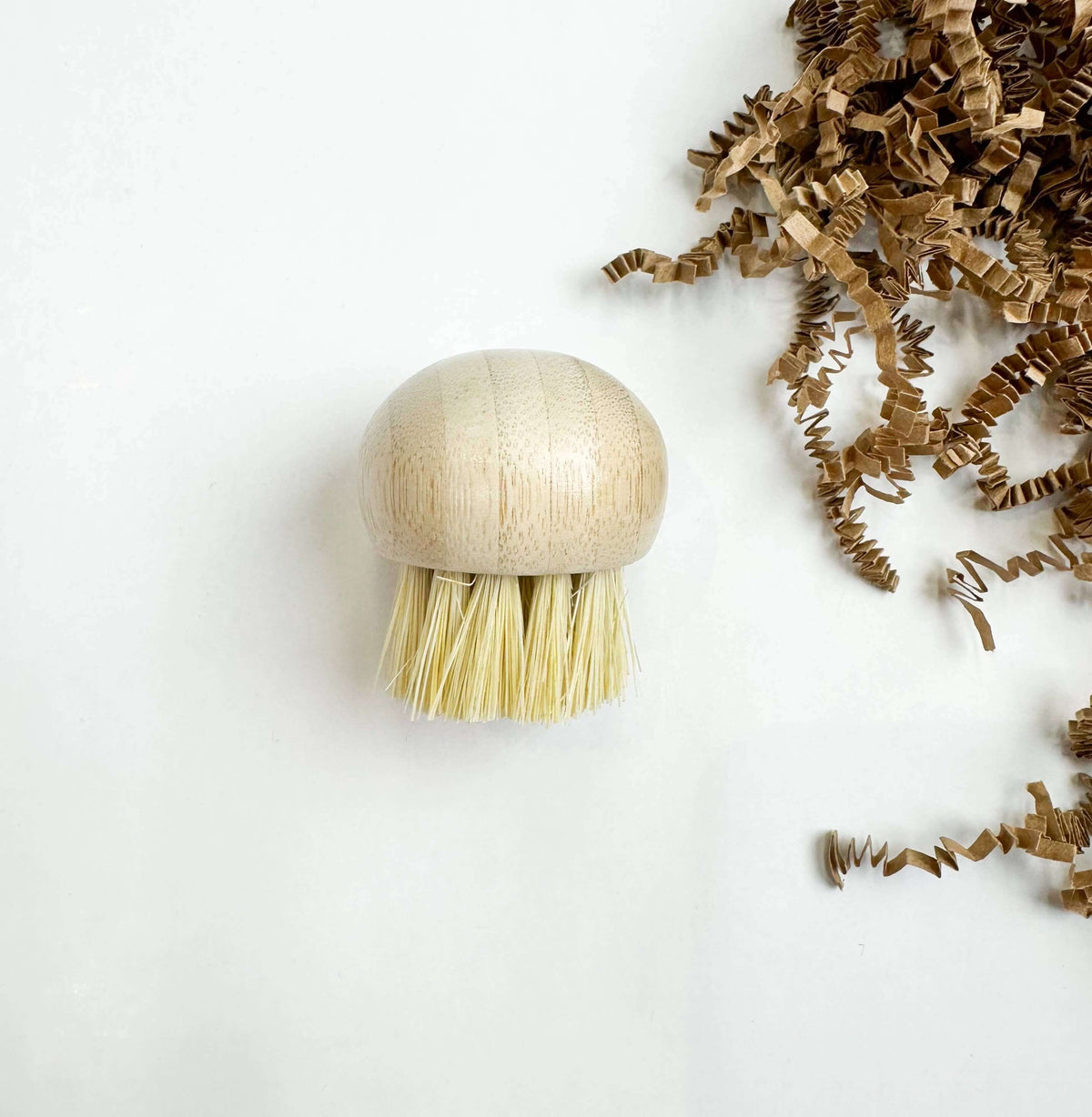 Small wooden brush with bristles on a white background