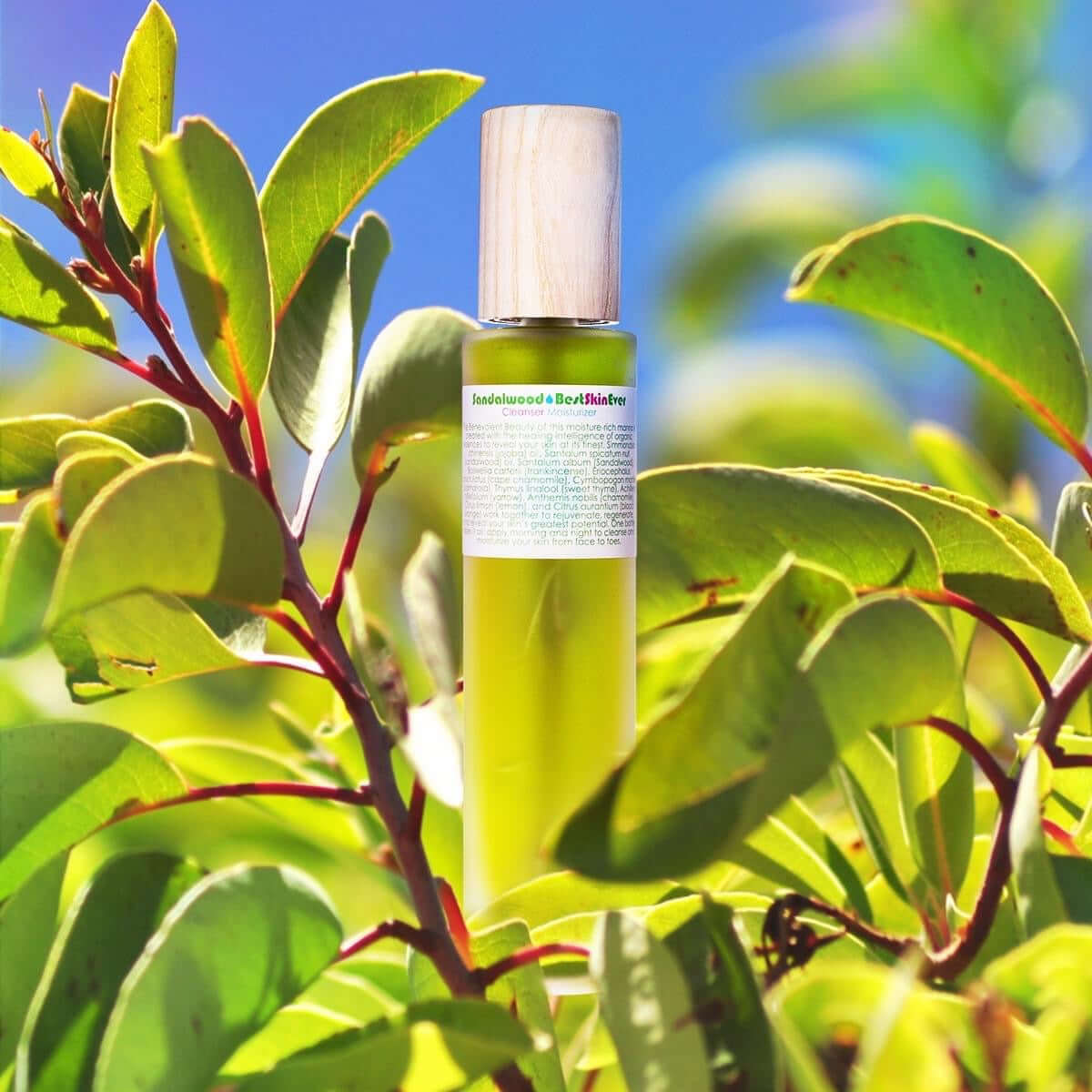 Best Skin Ever - Sandalwood - Living Libations