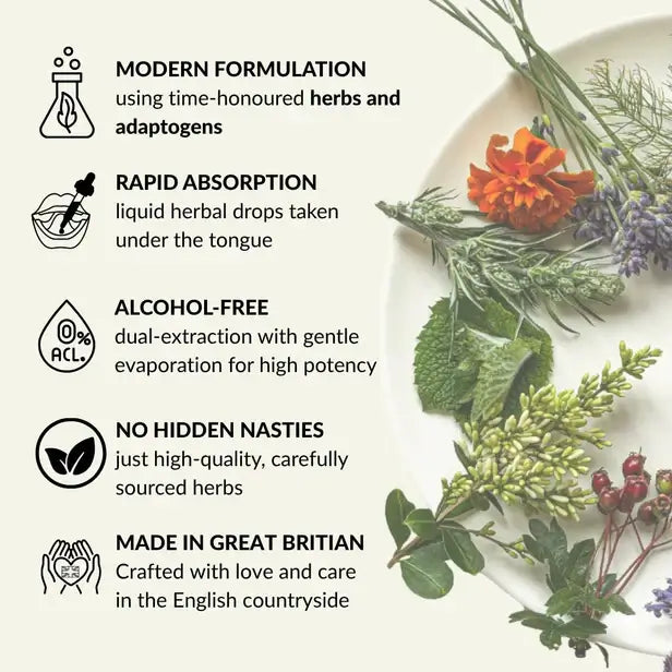 CALM Tincture 30ml - Blooming Blends