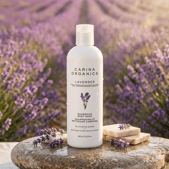 Carina Organics lavender shampoo bottle with lavender flowers on a stone surface in front of a lavender field.