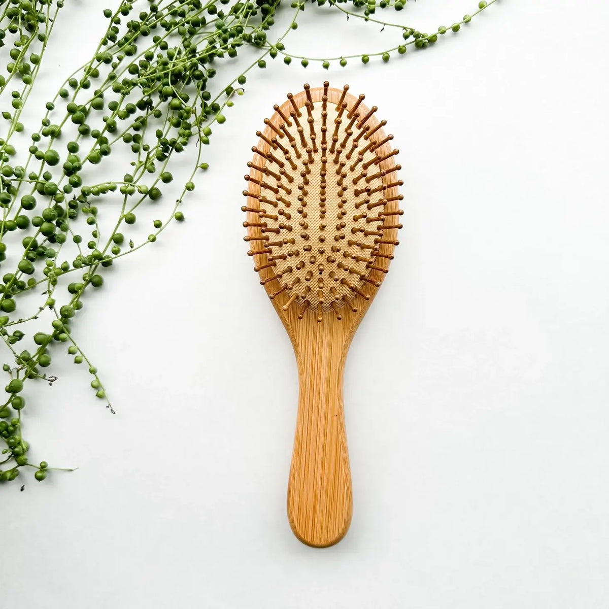 Wooden hairbrush on a white background with green leaves