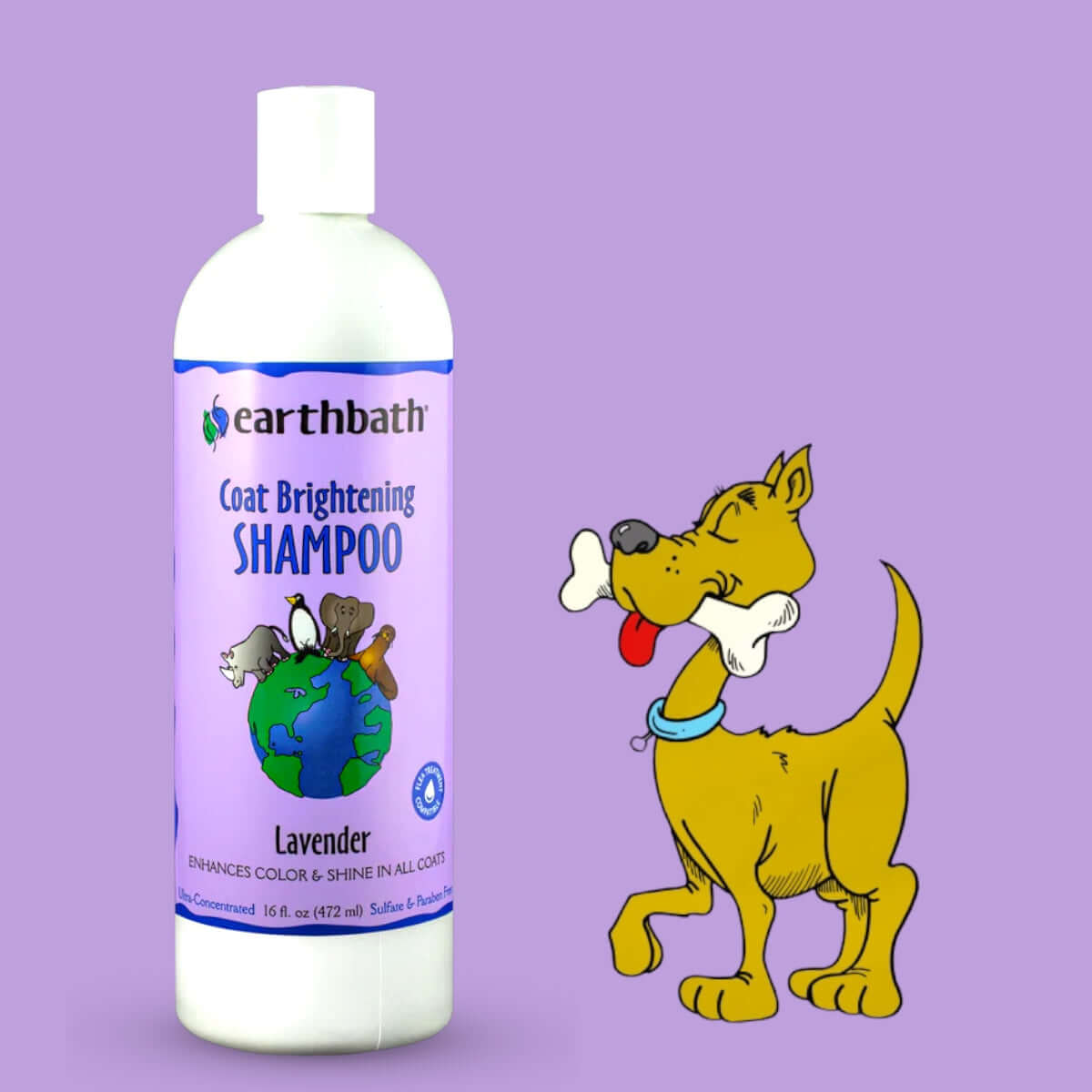 Dog Coat Brightening Shampoo Earthbath - Lavender 472ml