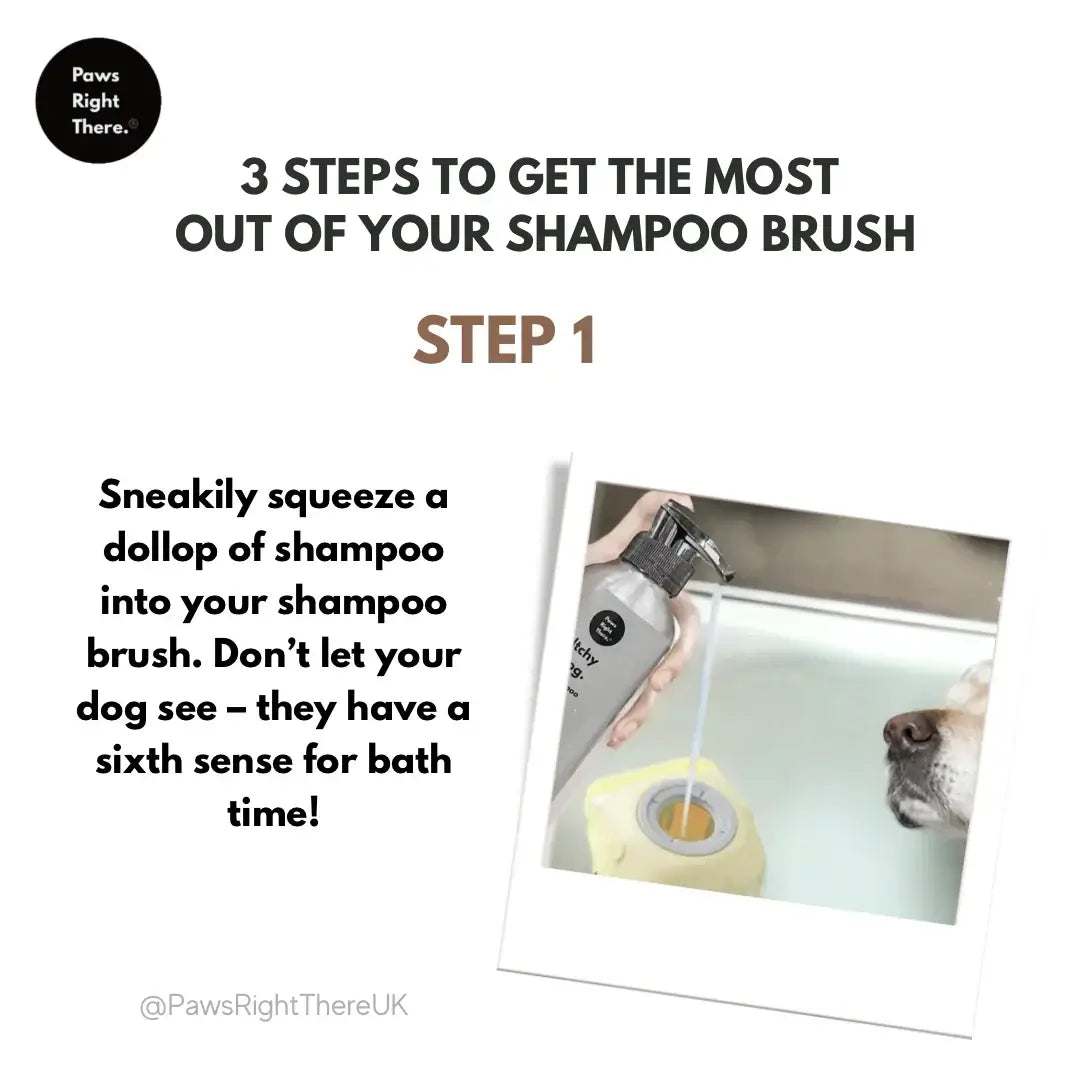Dog Shampoo Brush – Paws Right There | Bath & Grooming Tool