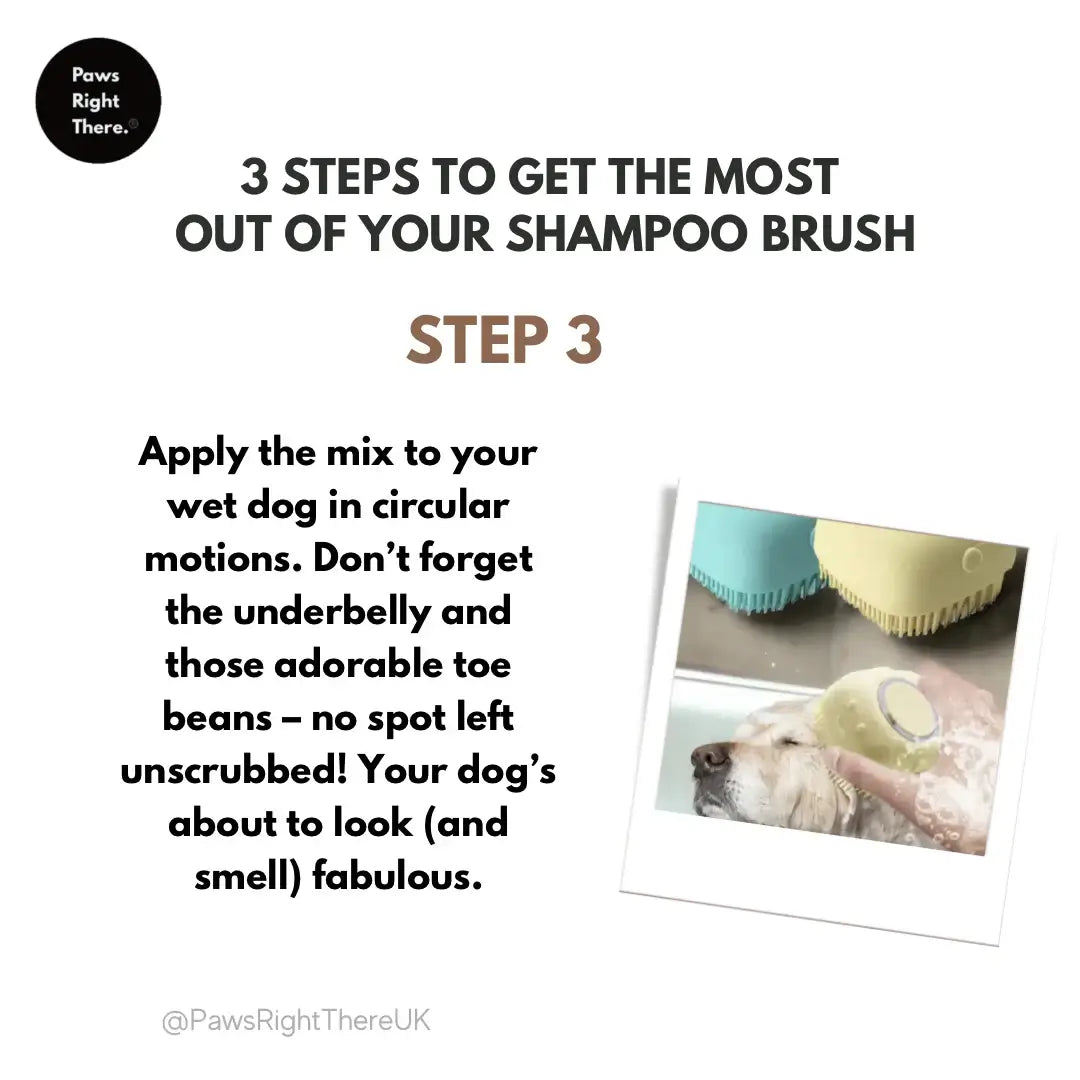 Dog Shampoo Brush – Paws Right There | Bath & Grooming Tool