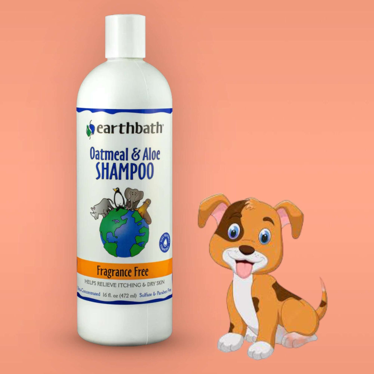Dog Shampoo Earthbath Itch Relief Fragrance Free Oatmeal & Aloe - 472ml
