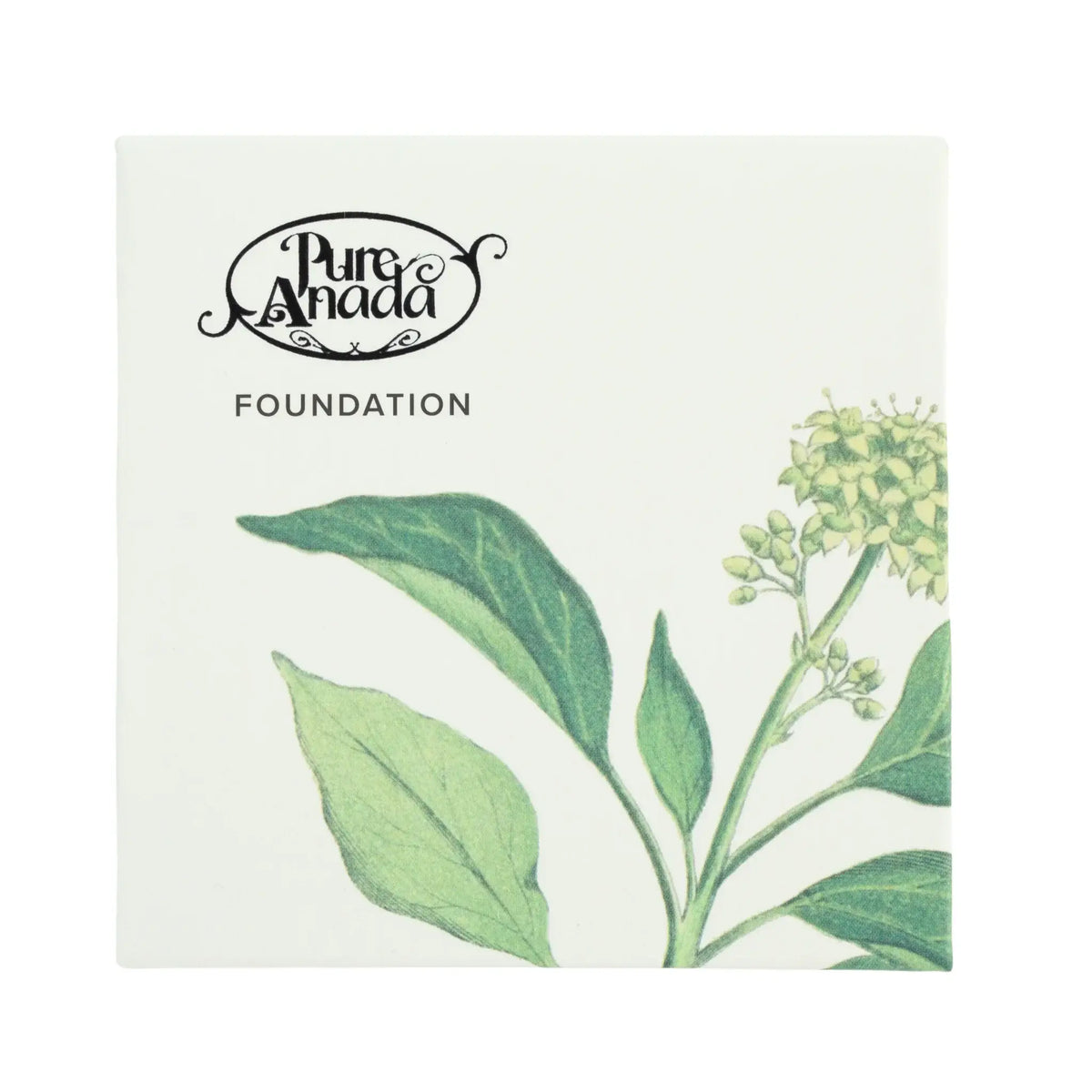 Pure Anada foundation box with green leaf design on a white background