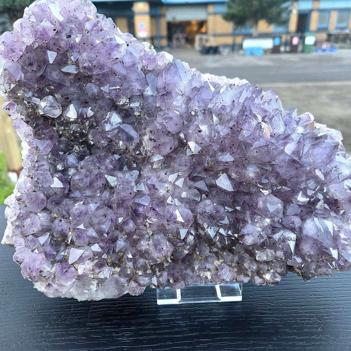 Amethyst crystal cluster on a dark surface with a blurred outdoor background