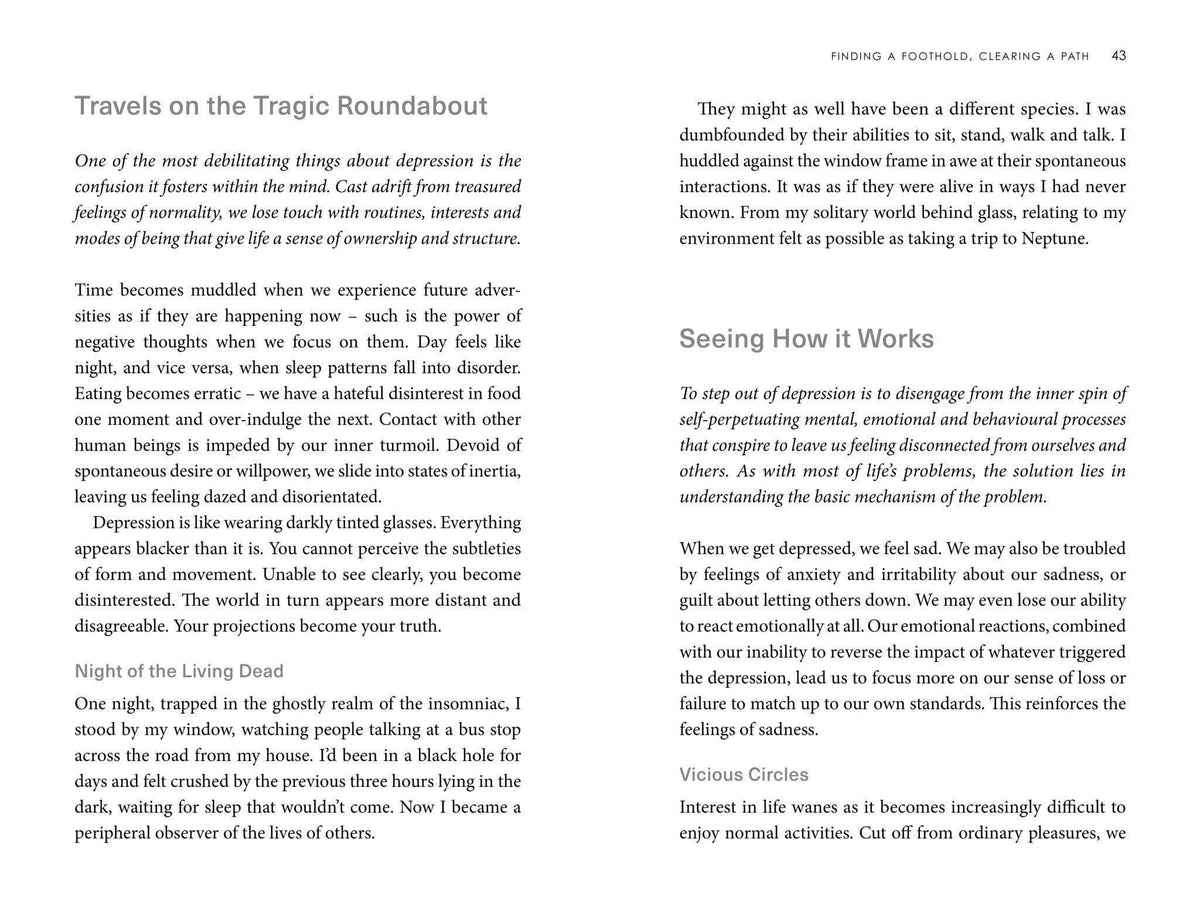 Find Your Path through Depression book excerpt illustrating insights on navigating confusion and emotional challenges.
