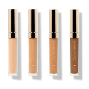 Fruit Pigmented® 2nd Skin Concealer for natural finish in four shades, showcasing creamy, buildable coverage.