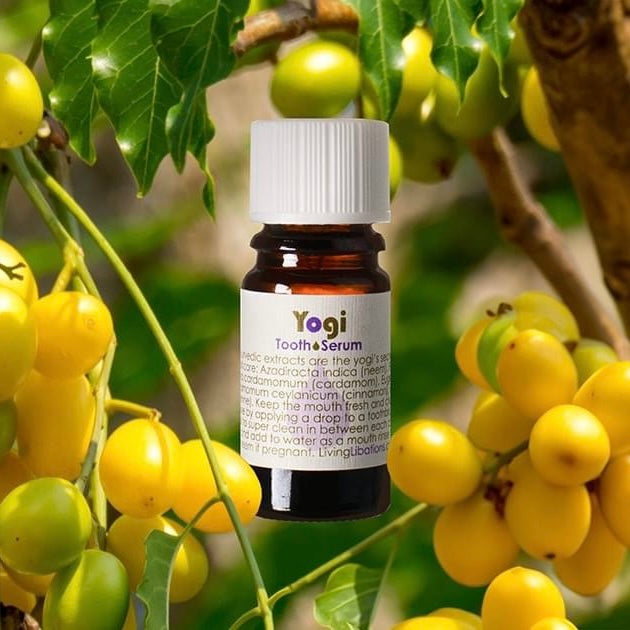 Yogi Tooth Serum