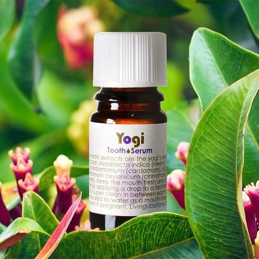 Yogi Tooth Serum