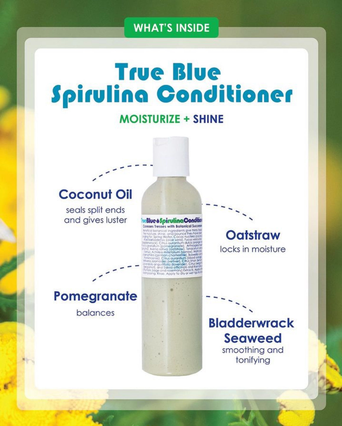 True Blue Spirulina Conditioner