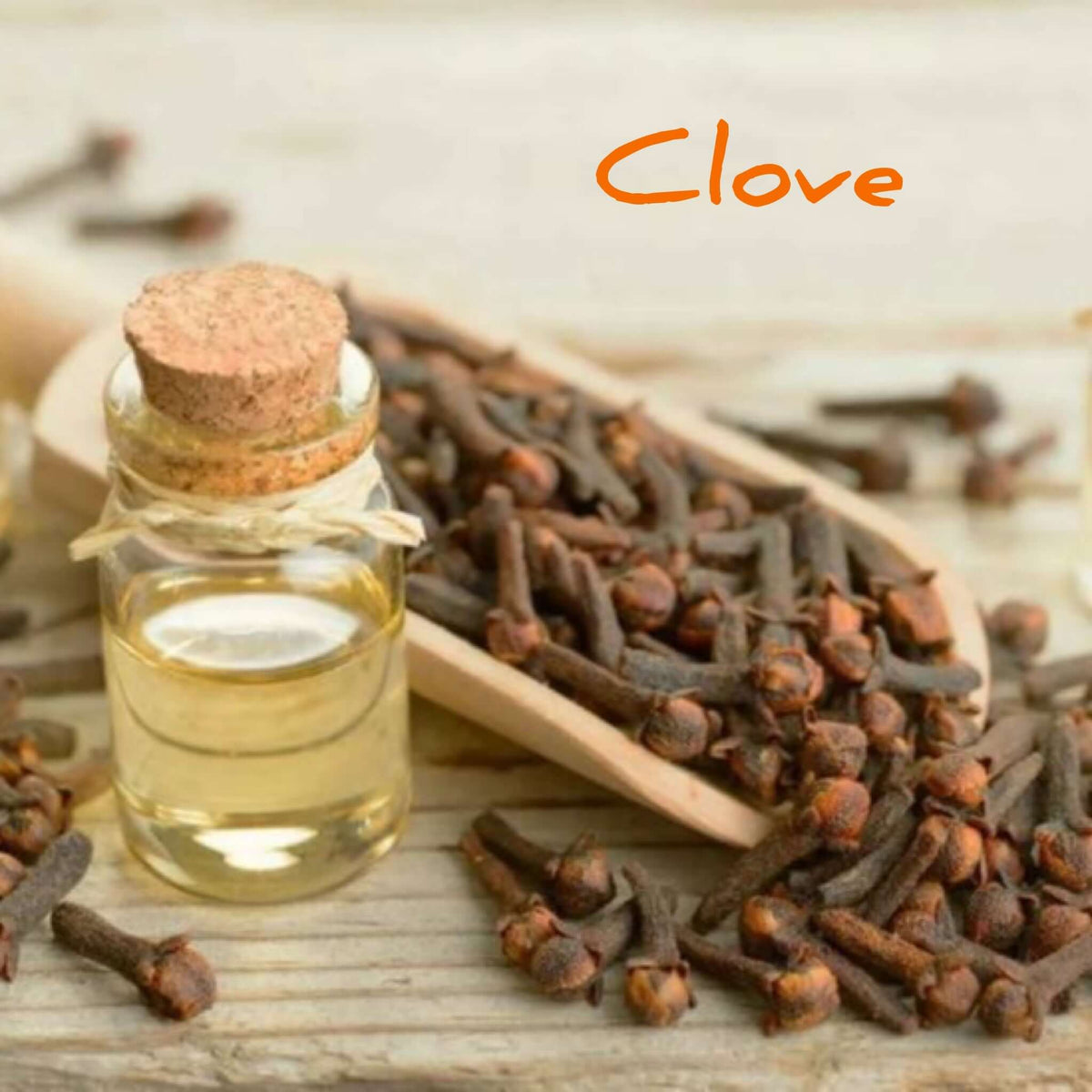 Herbs The Word Mouth Spray - Fat & The Moon