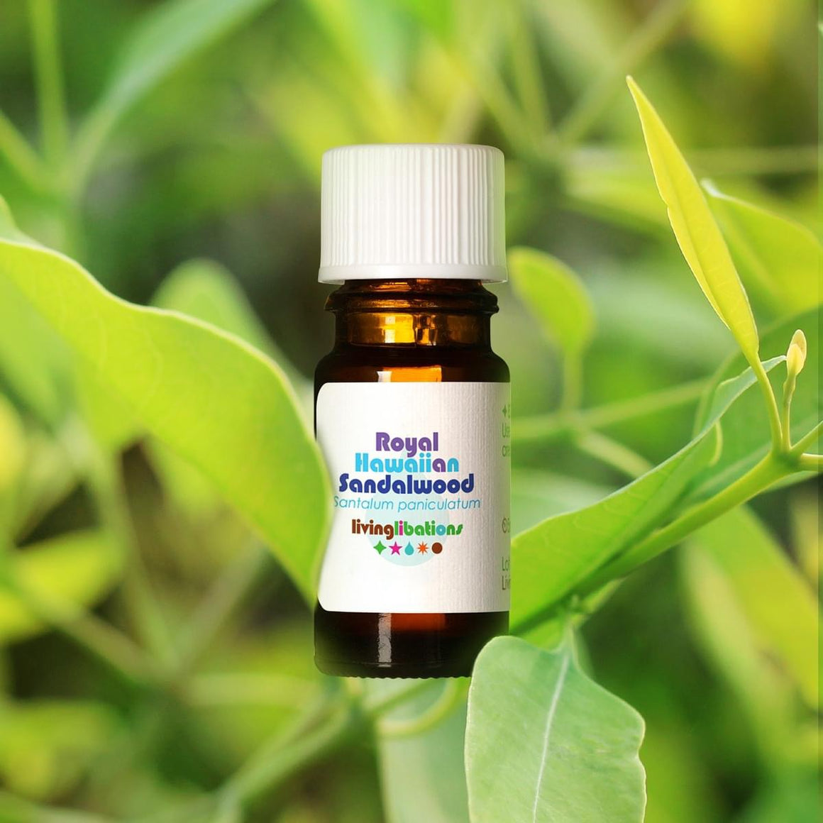 Sandalwood Royal Hawaiian Essential Oil - Living Libations