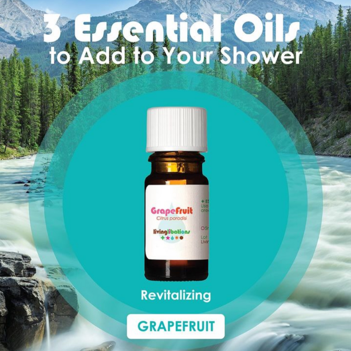 Grapefruit Essential Oil - Living Libations