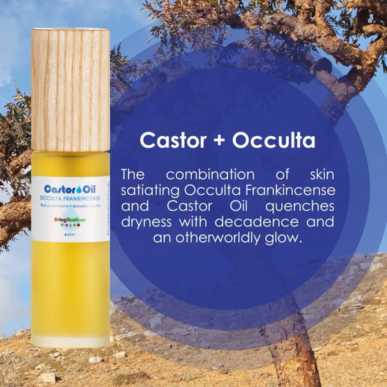 Castor Oil + Occulta Frankincense - Living Libations