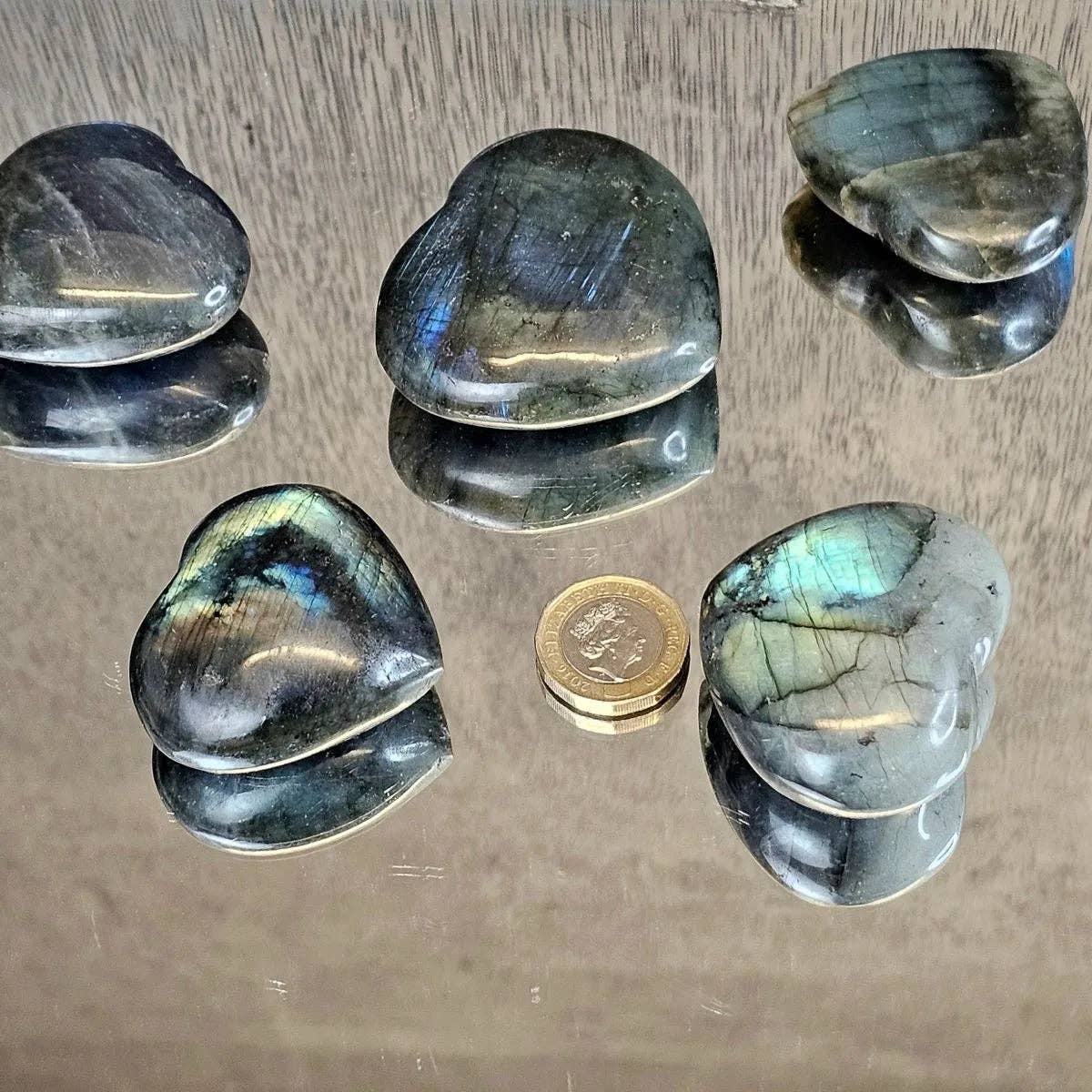 Five Labradorite stones on a reflective surface with a coin for scale.
