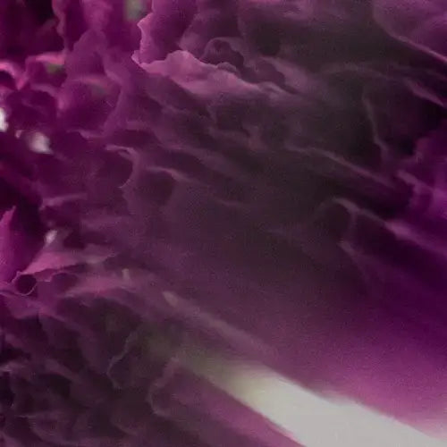 Magnesium Spray - Lavender