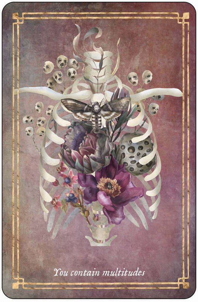 Memento Mori Cards featuring a vibrant illustration of ribcage with flowers, skulls, and a moth, promoting mindfulness.