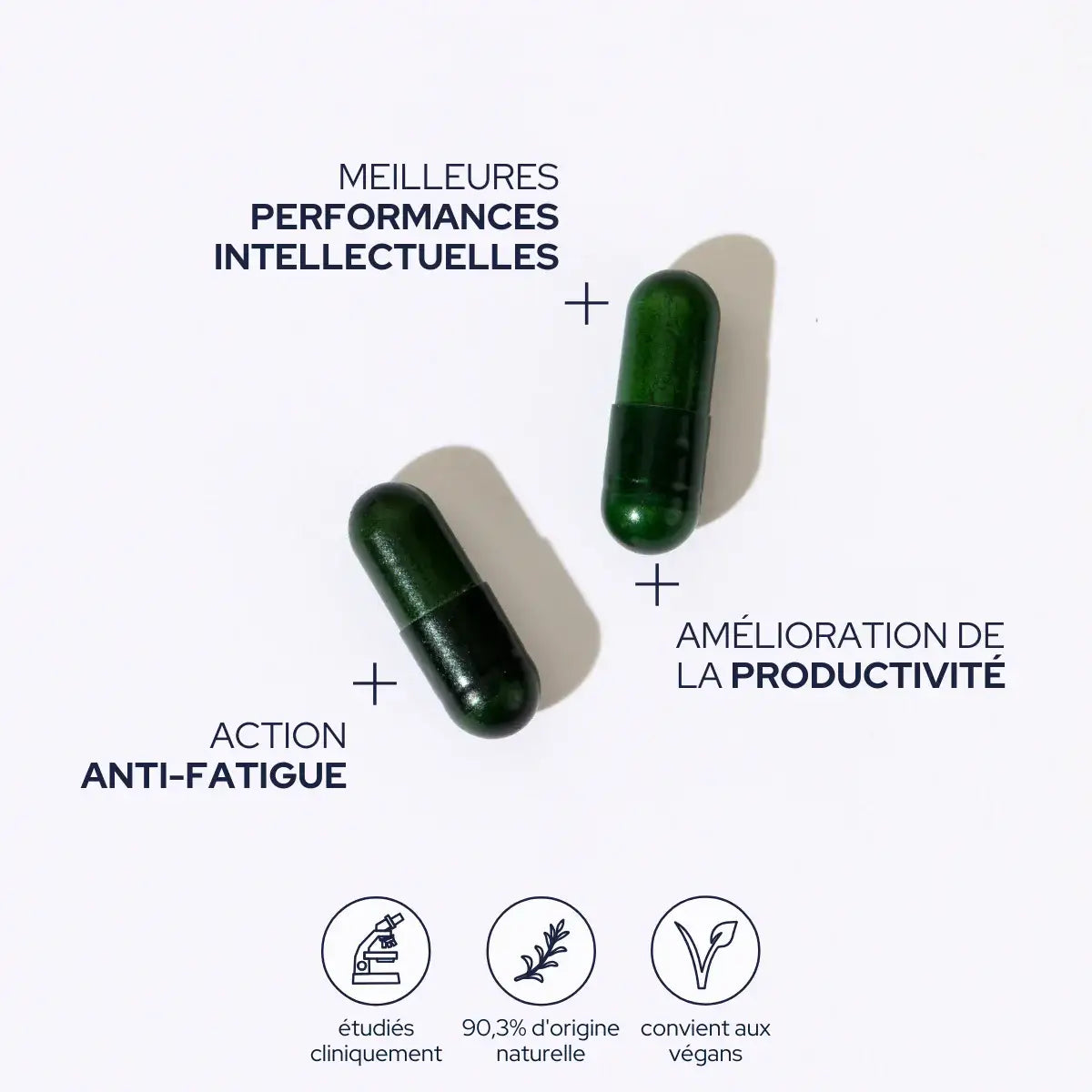 Memory & Concentration Cure - 1 Month Cure by Epycure