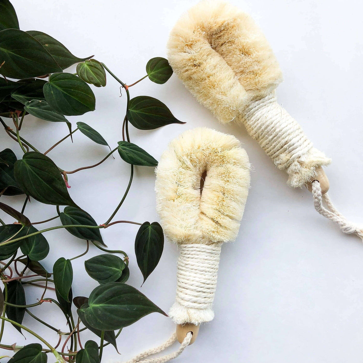 Two natural fiber brushes on a white surface with green leaves.