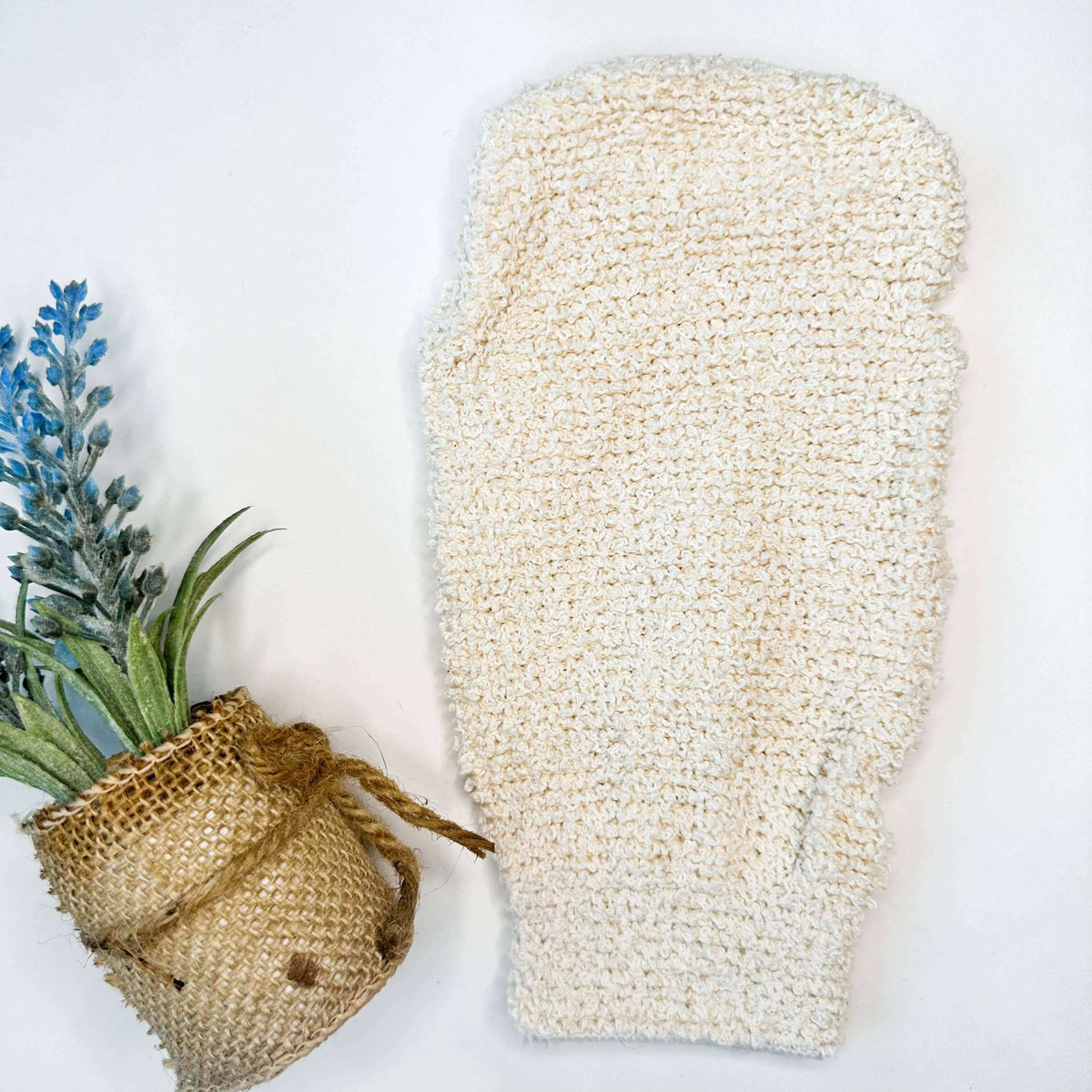 Beige loofah mitt next to a small plant on a white background