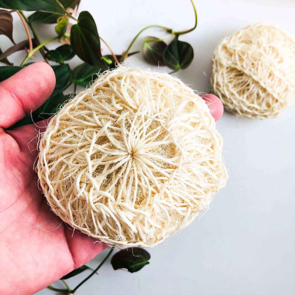 Hand holding a natural loofah sponge with another loofah in the background on a light surface.