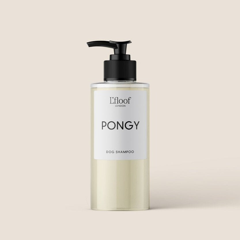 PONGY | Orange & May Change Shampoo