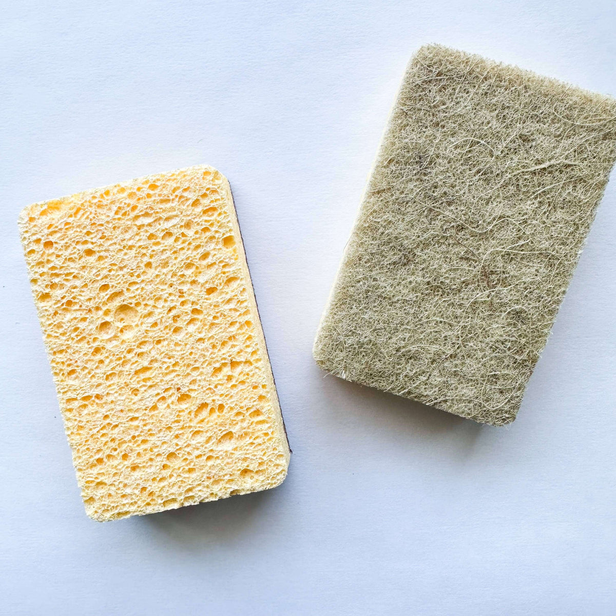 Yellow and green sponges on a white background