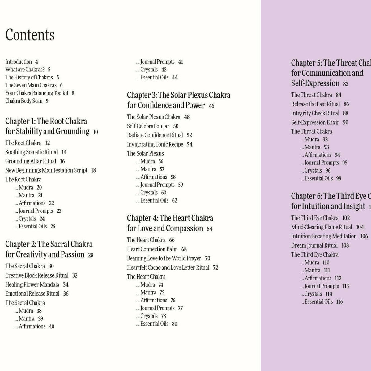 Table of contents for a book or document with chapter titles on a light purple background.