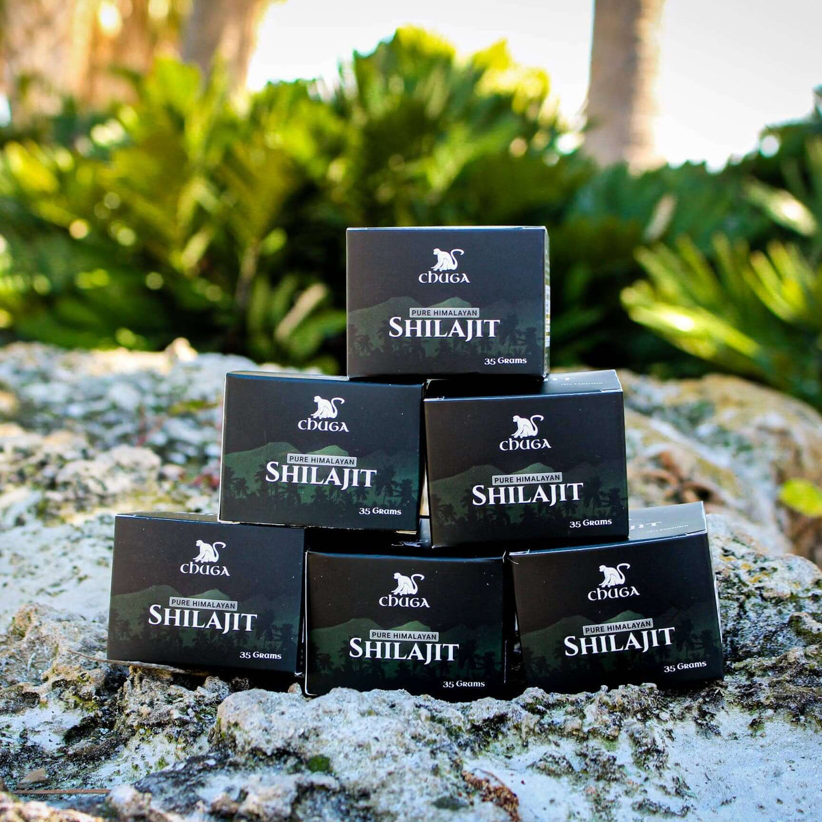 Pure Himalayan Shilajit resin boxes stacked on rocky surface with lush greenery background.