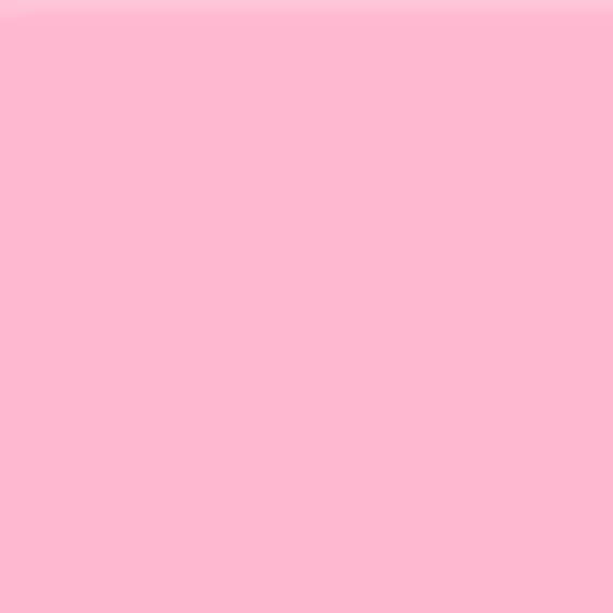 River Organics Creamy Vegan Blush Stick – Bloom 14g