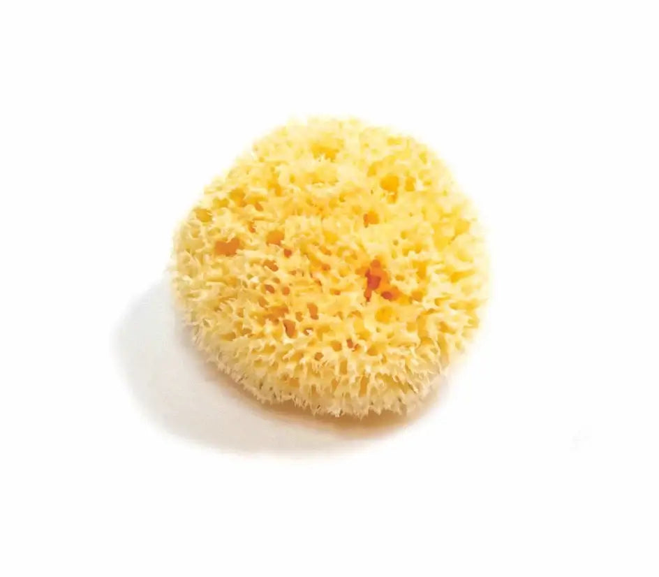 Yellow sponge on a white background