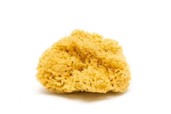 Yellow sponge on a white background