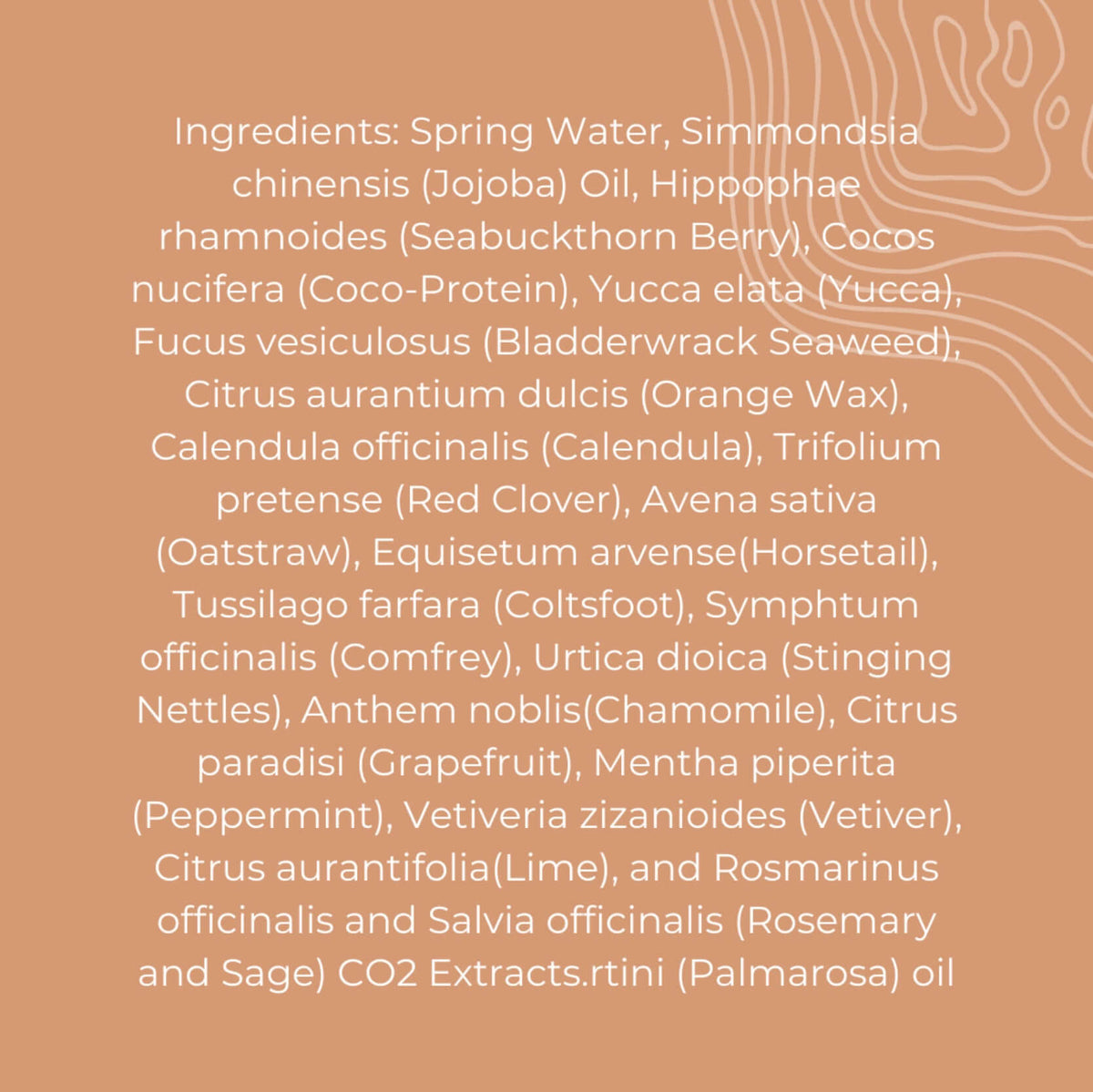 Seabuckthorn Shampoo