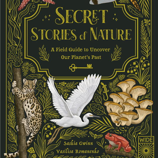 Book cover of 'Secret Stories of Nature' with illustrations of animals and plants on a dark background.