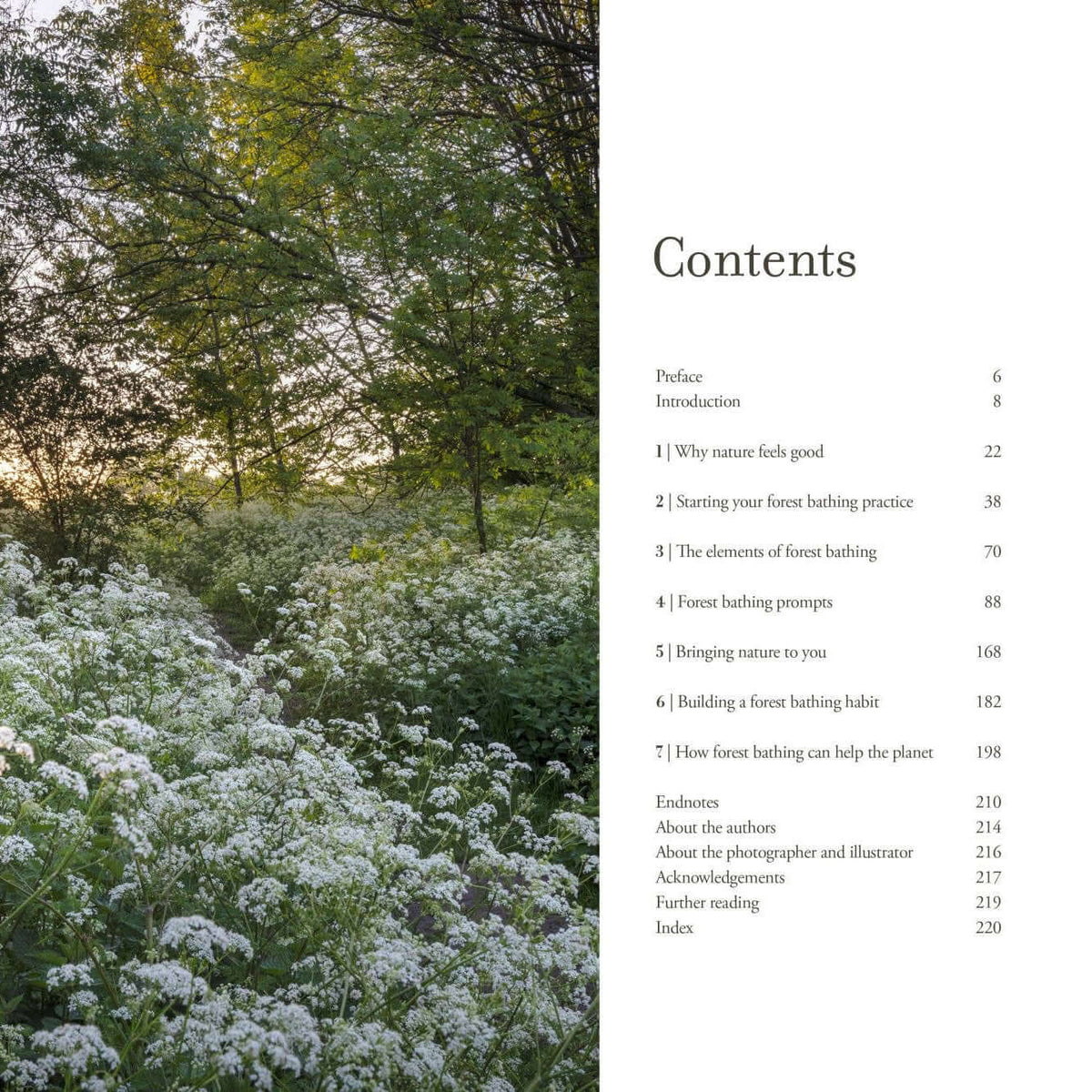 Contents page of a book on forest bathing featuring trees and wildflowers, highlighting the Power of Trees.