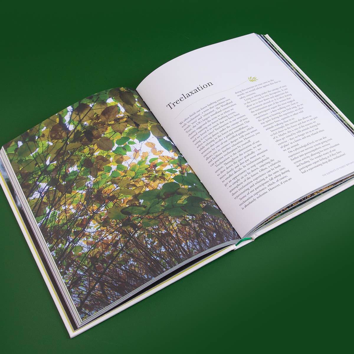 Open book with a page showing a tree canopy and another with text on a green background