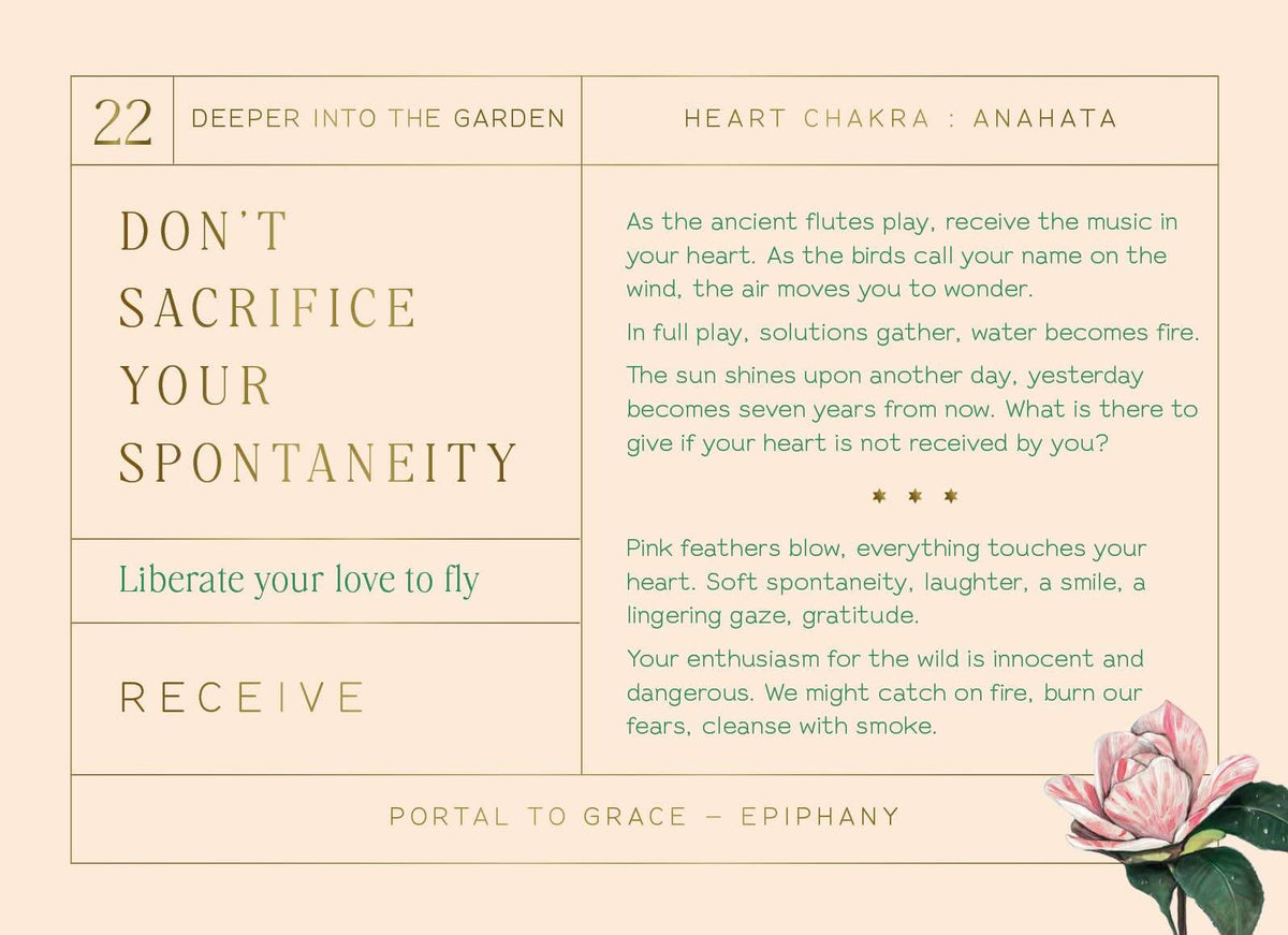 Textual content with a pink flower on a light background